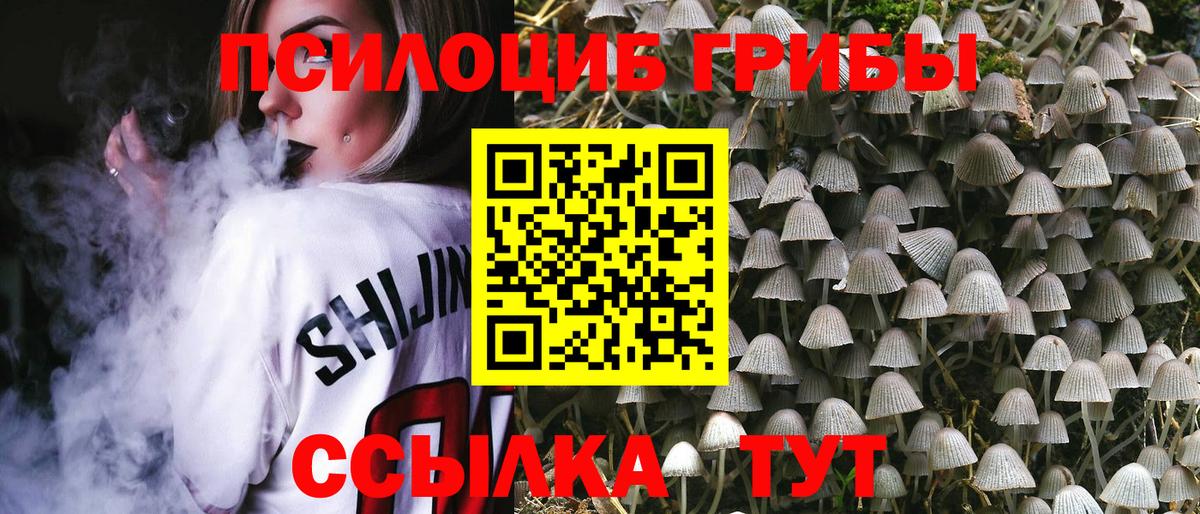 Псилоцибиновые грибы GOLDEN TEACHER  Вход с VPN  цена   Гуково 